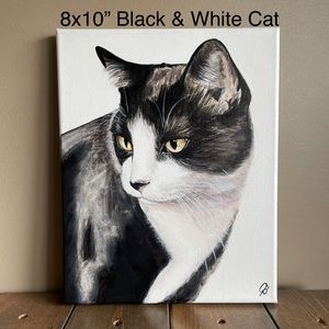 Black & White Cat Portrait